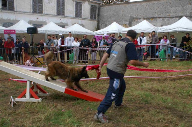 foire-haricots 2011-09-17et18